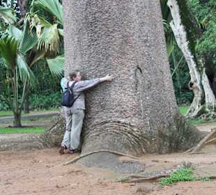 Воот такой ширины деревце))