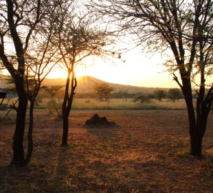 Ausblick Ronjo Camp
