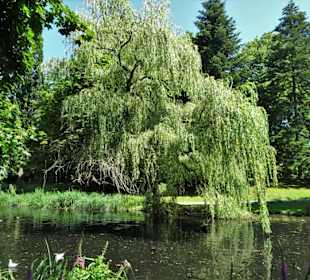 Impressionen aus dem Schlossgarten