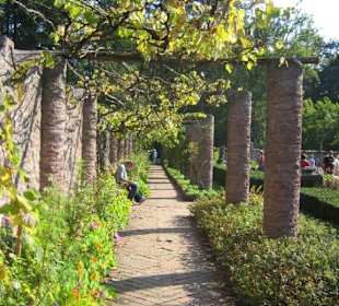 Ein Durchgang unter den Weintrauben.