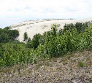 Düne