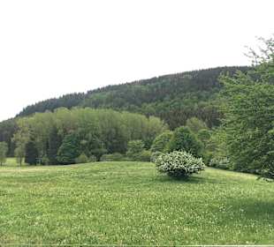 Wandern Winterberg