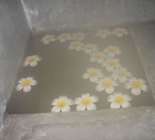 Let`s sea -let`s relax