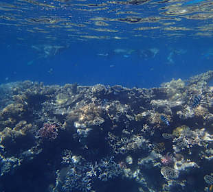 Unterwasser