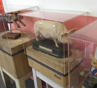 SchweineMuseum