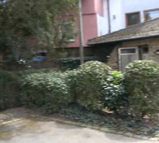 Alter Friedhof