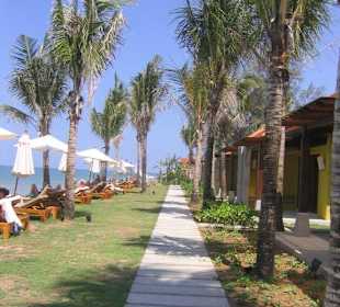 Strandbungalows vor Liege-Plätzen