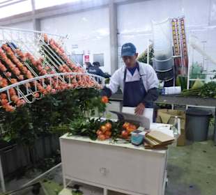 Hier wird nach Leistung sortiert und verpackt