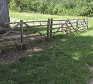 Hohenloher Freilandmuseum