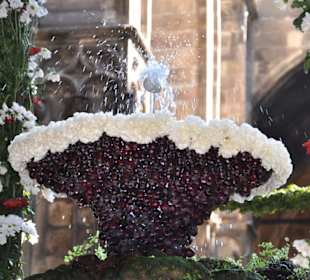 "Das hüpfende Ei" - nur in der Fronleichnamswoche