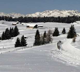 Rodenecker Alm