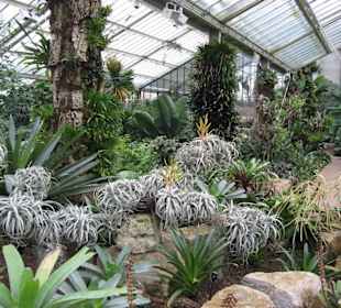 Princess of Wales Conservatory