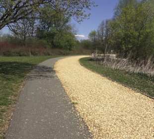 Sport- und Freizeitpark Markwasen