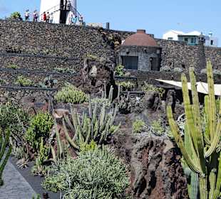 Jardin de Cactus / Kaktusgarten Guatiza