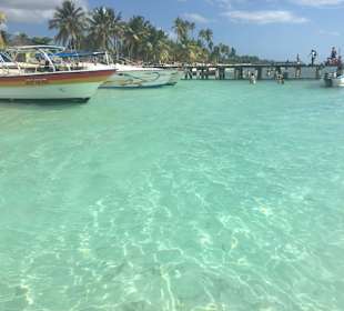 Saona