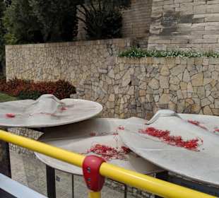 Weggeschmissene Ohrenstöpsel in Palma de Mallorca 