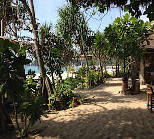 Same Same But Different Bar