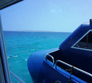 Schnorcheln Hausriff Beach Albatros Palace Resort Hurghada