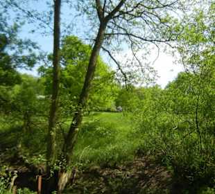 Naturschutzgebiet Boberger Niederung