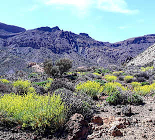 Teide Nationalpark