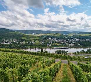 Wandern Mülheim an der Mosel