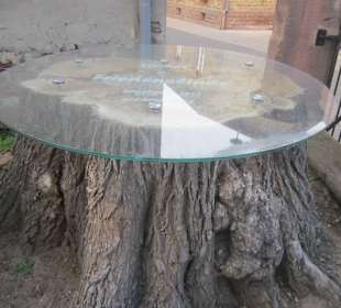 Kirche St. Alban Friedenslinde