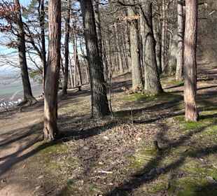 Hirschauer Spitzbergwegle (Premiumspazierwanderweg
