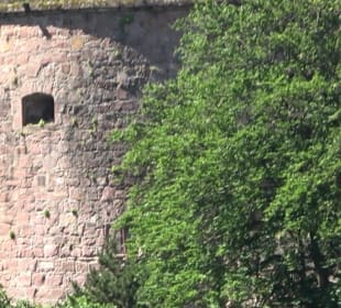Apothekerturm