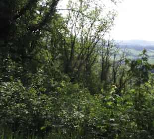 Burgruine Hohenstaufen