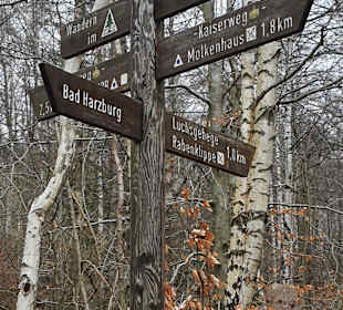 Wandern Bad Harzburg