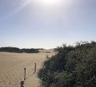 Dünen von Maspalomas
