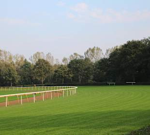 Pferderennbahn Neue Bult