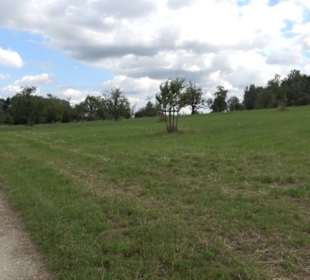 Hochgehnießen - Premiumspazierwanderweg