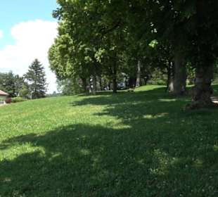 HAP Grieshaber Rundweg