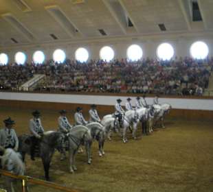 Królewska szkoła jazdy konnej
