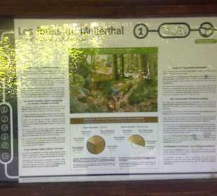 Kleine Luxemburger Schweiz bei Echternach