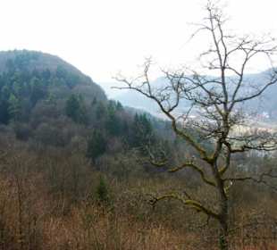 Aussicht aus dem Turm