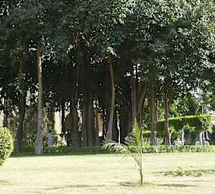 Abdeen Palast