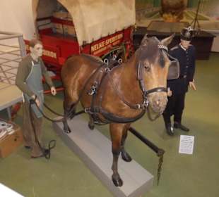 Der Anfang der Ausstellung.