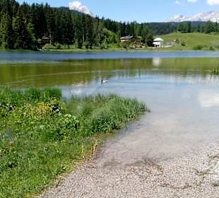 Wildsee