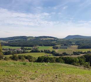 Richtung Neusetzund Königsberg