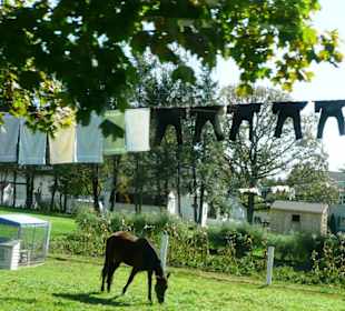 Unterwegs auf der 90 min. Tour