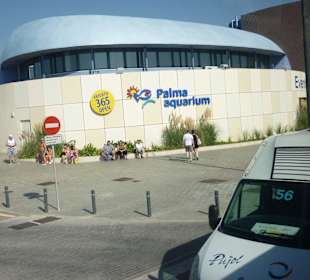 Palmaaquarium