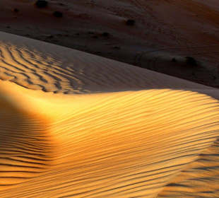 Wüstentour Wahiba Sands