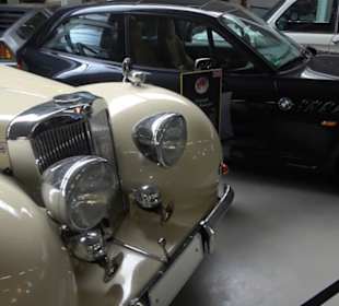 Autosammlung Steim
