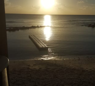 Ausblick