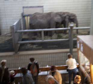 Thüringer Zoopark Erfurt 