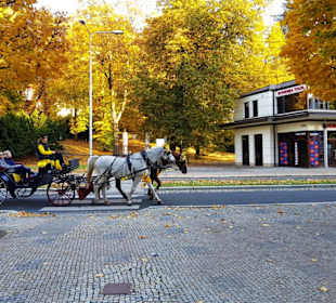 Die Fahrten in Marienberg