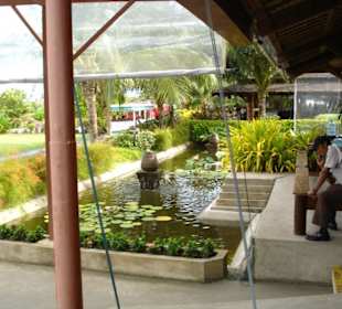 Flughafen von Koh Samui