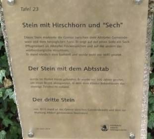 Stein mit Hirschhorn